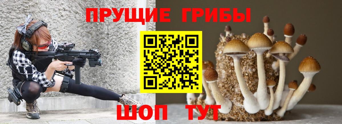 Баксан  Галлюциногенные грибы MAGIC MUSHROOMS  Вход с VPN 
